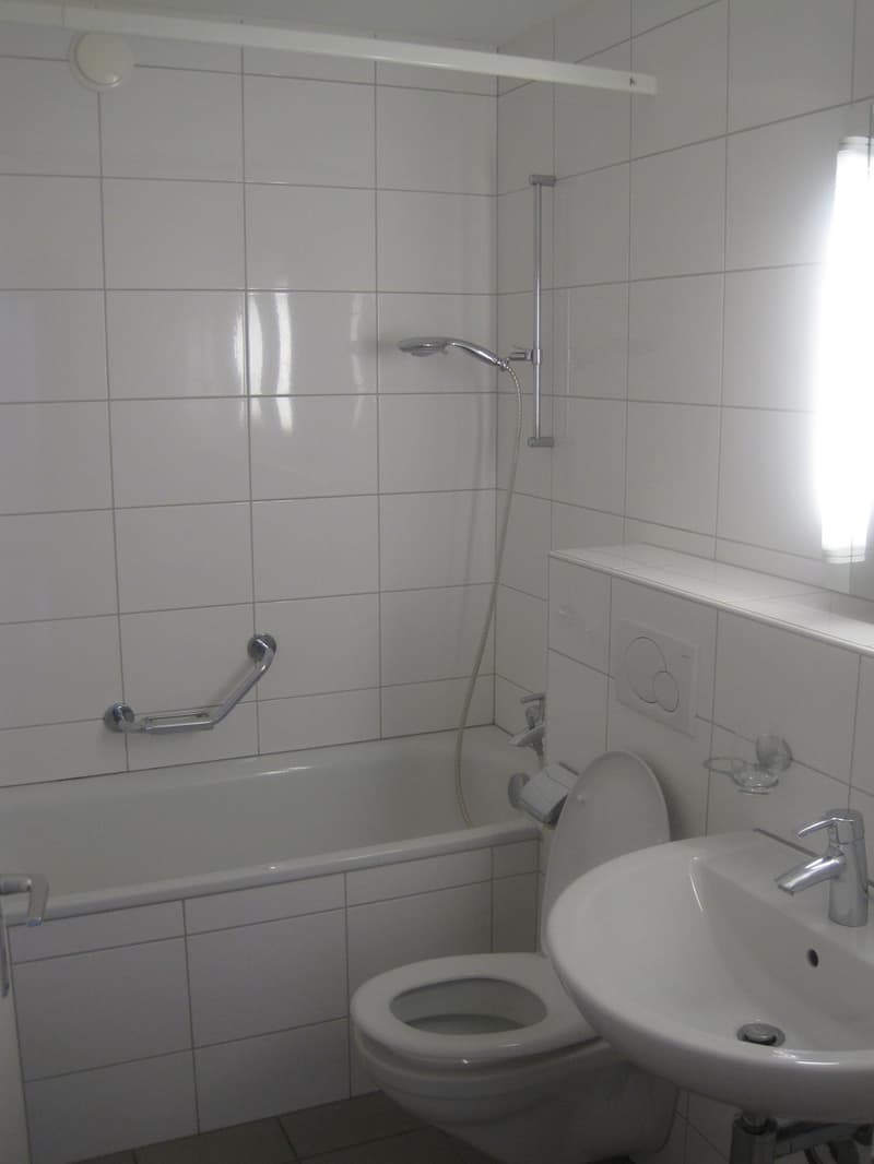 Bright 3-room apartment with balcony and stunning views in Döttingen (6)