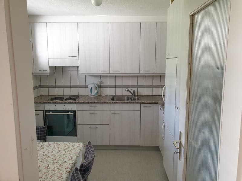 Bright 3-room apartment with balcony and stunning views in Döttingen (5)