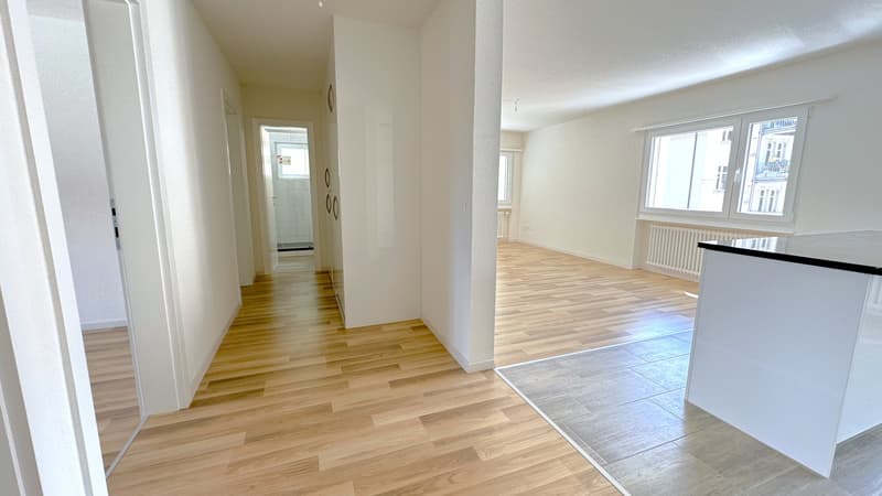 Frisch renovierte, helle 4.5-Zimmer-Wohnung letzte Gelegenheit! (4)