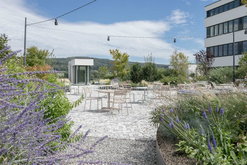 The image shows an outdoor seating area with tables and chairs surrounded by lush greenery and flowering plants. There is a small building or structure in the background, and string lights are hung overhead. The area appears to be a patio or terrace with