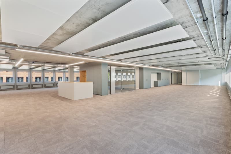 Open office space, large windows, ceiling panels, reception desk, carpeted floor, large hallways, large windows