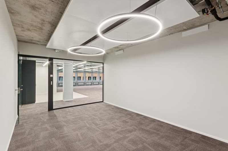 empty room, white walls, gray carpet, large glass door, circle lamps on the ceiling, no furniture