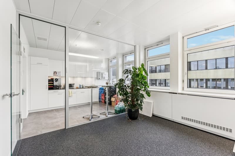 clean and modern office room with gray carpet, white walls, large glass windows, potted plant, kitchen with appliances