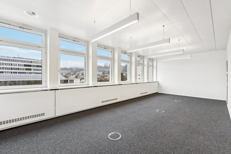 office room with large windows, white walls, white ceiling, grey carpet