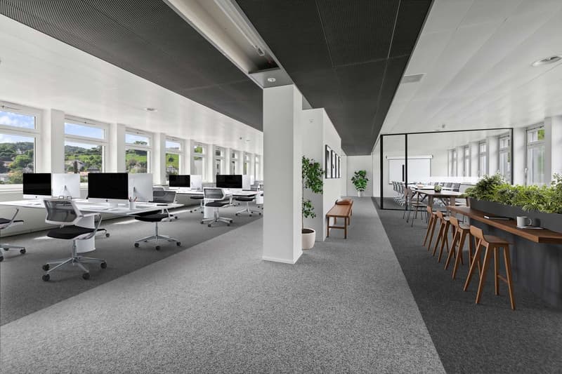 modern office design, grey carpeted floor, glass walls, desks with monitors, chairs, small potted plants