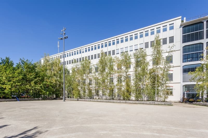 white office building, large windows, streetlight, green trees, paved parking lot