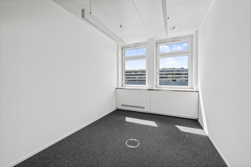 white walls, gray carpet, white windows, no furniture