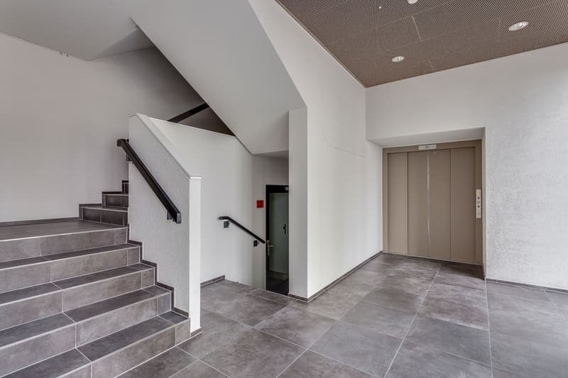 tiled floor, steps, railing, elevator, entrance hall