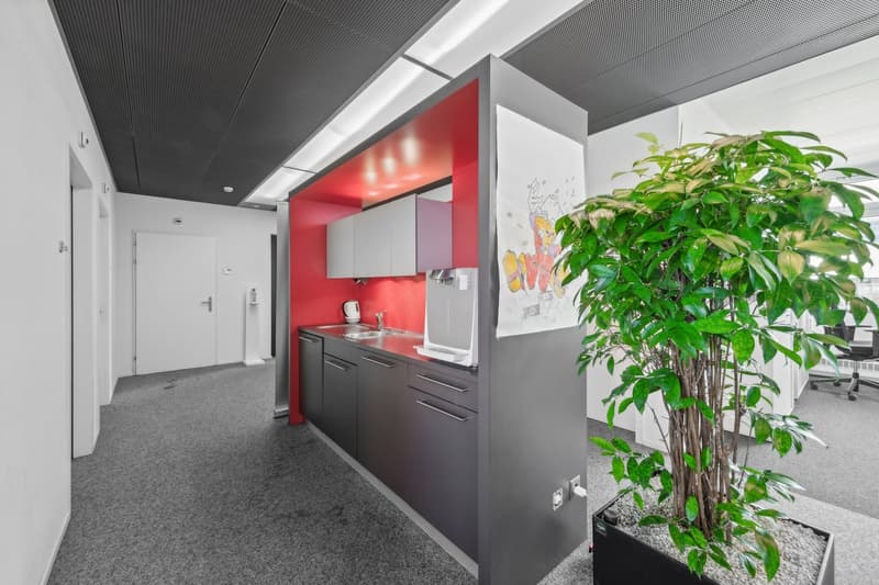 modern kitchen with sink, faucet, cabinets, countertop, power outlet, red wall, ceiling lighting, white door, black ceiling, large potted plant, gray carpet