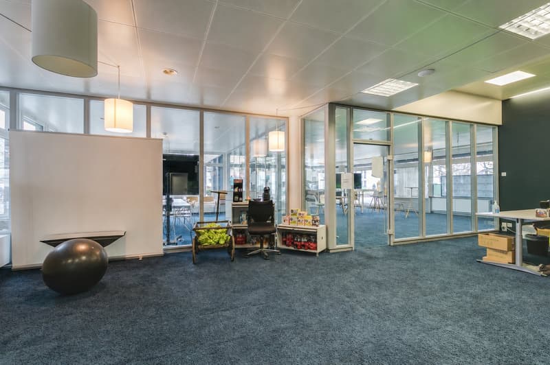 Moderne Bürofläche im Erdgeschoss an zentraler Lage in Rapperswil-Jona (2)
