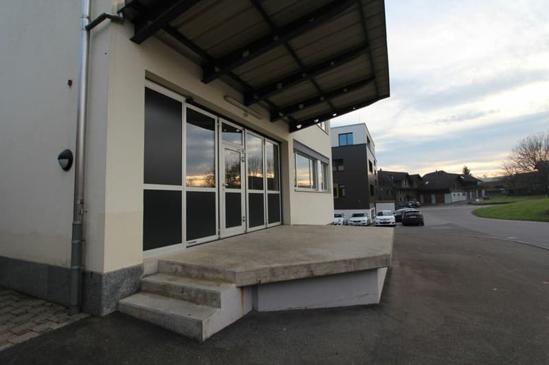 Immeuble commercial avec bureau / atelier et espace de stockage à emplacement idéal et excellente situation de transport (11)