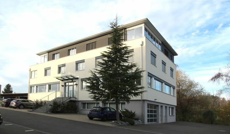 Immeuble commercial avec bureau / atelier et espace de stockage à emplacement idéal et excellente situation de transport (3)