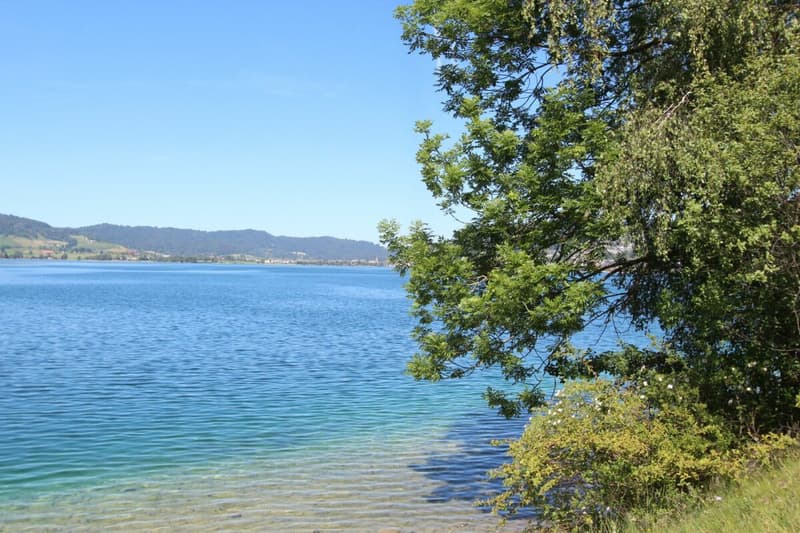 Chalet Sonnenbühl: Attraktives Zweifamilienhaus mit freier Bergsicht und dem See als Kulisse (16)