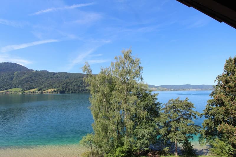 Chalet Sonnenbühl: Attraktives Zweifamilienhaus mit freier Bergsicht und dem See als Kulisse (3)