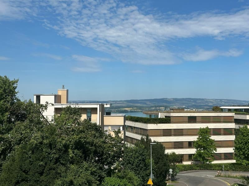 Ruhig wohnen, zentral verbunden - Charmante 3.5-Zimmer-Wohnung am Zugerberg (12)