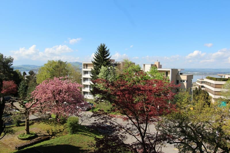 Ruhig wohnen, zentral verbunden - Charmante 3.5-Zimmer-Wohnung am Zugerberg (13)