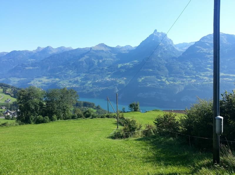 3.5-ZIMMER-WOHNOASE - Entschleunigung, Ruhe und Natur! (1)