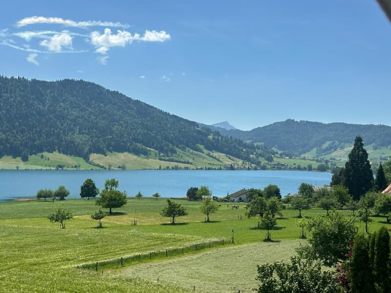 Überbauung Bahnhöfli: Exklusive Neubauwohnungen mit Panoramaaussicht auf den Ägerisee (11)