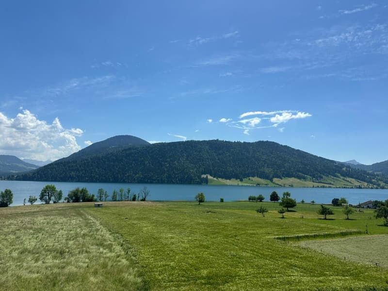Überbauung Bahnhöfli: Exklusive Neubauwohnungen mit Panoramaaussicht auf den Ägerisee (5)