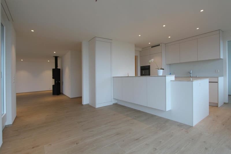LUXURIÖSE ATTIKAOASE: Exklusive Wohnung mit grosszügiger Terrasse und atemberaubender See- & Bergsicht (4)