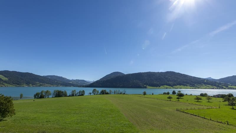 Exklusive 3.5 Zi-Dachwohnung mit traumhafter Panoramasicht auf den Ägerisee (1)