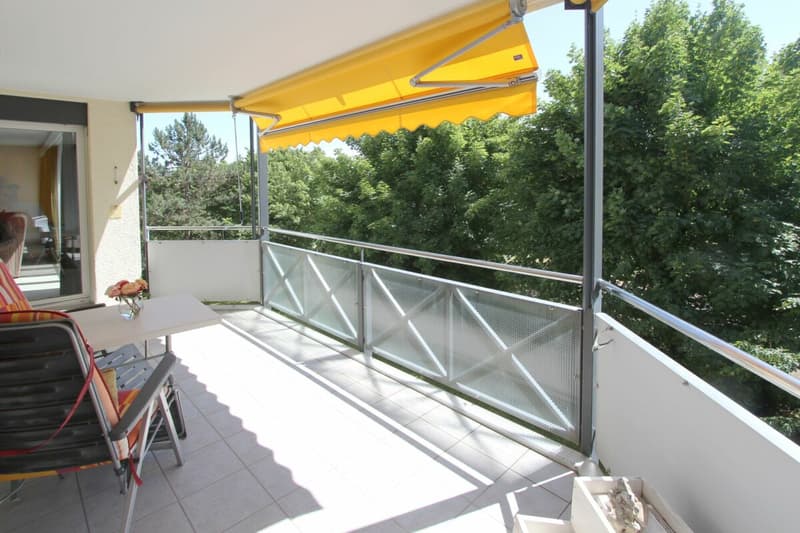 Sonnige 4.5 (5.5) Wohnung mit Blick ins Grüne an ruhiger Sackgassenlage und viel Raum für Ihre Ideen (1)