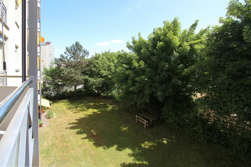 Sonnige 4.5 (5.5) Wohnung mit Blick ins Grüne an ruhiger Sackgassenlage und viel Raum für Ihre Ideen (2)