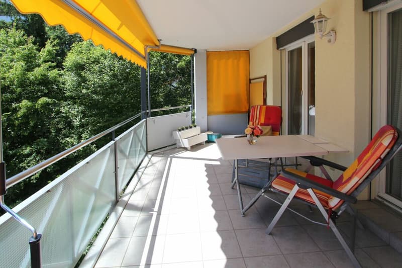 Sonnige 4.5 (5.5) Wohnung mit Blick ins Grüne an ruhiger Sackgassenlage und viel Raum für Ihre Ideen (3)