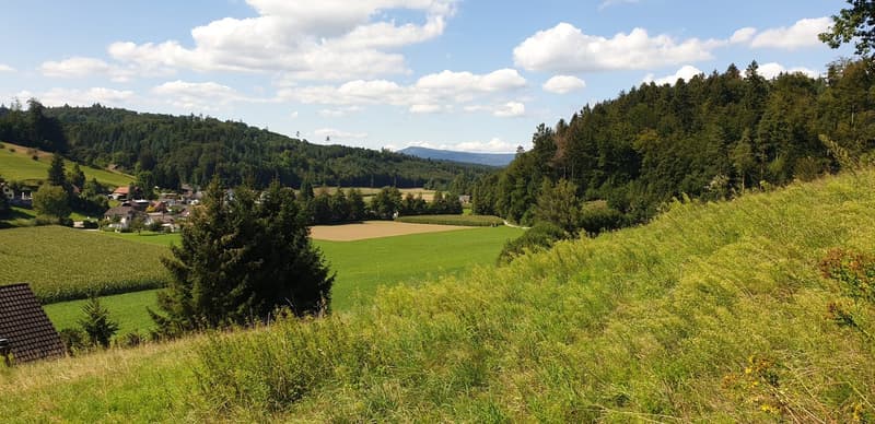Attraktives Bauland an ruhiger Lage – Uerkheim (2)