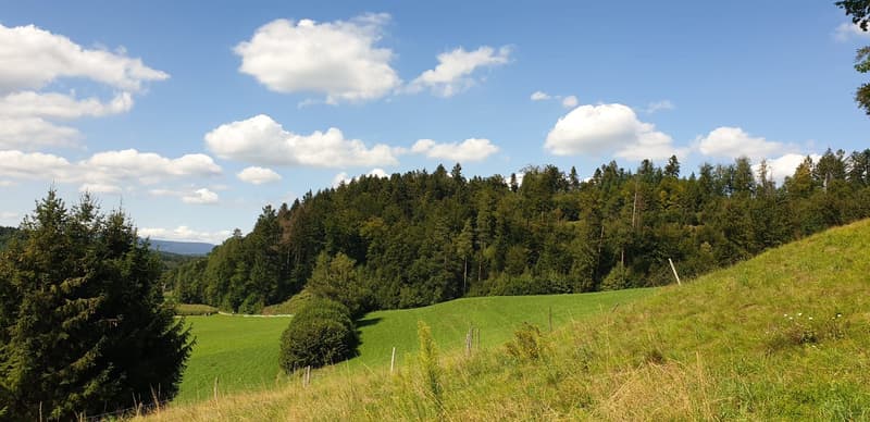 Attraktives Bauland an ruhiger Lage – Uerkheim (1)