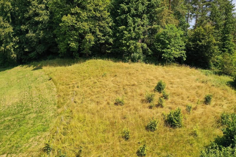 Attraktives Bauland an ruhiger Lage – Uerkheim (3)