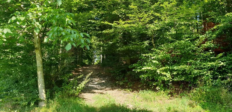 Charmantes Einfamilienhaus mit Panoramablick in Uerkheim (4)