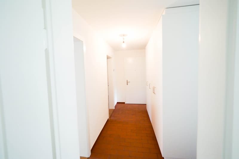 Posizione residenziale centrale ad Albisrieden (5)