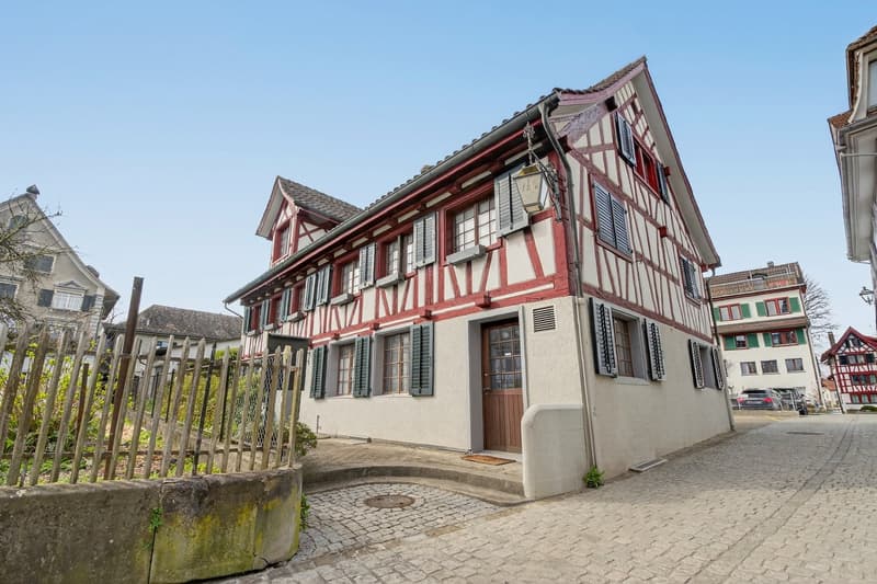 Historic Riegel house with diverse options (2)