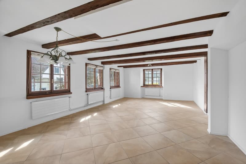 Historic Riegel house with diverse options (5)