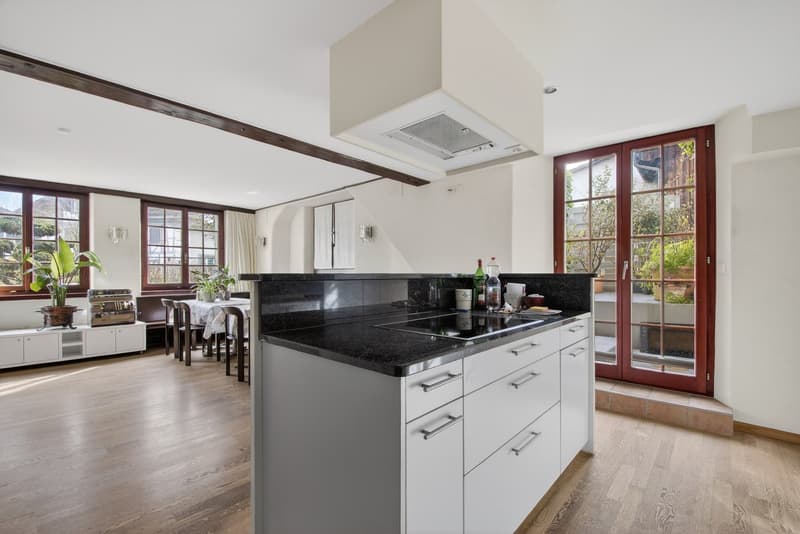 Historic Riegel house with diverse options (6)