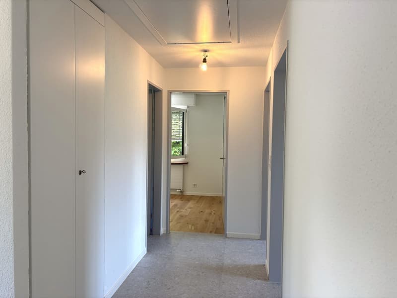 Maison unifamiliale de 5,5 pièces rénovée à neuf, située dans un endroit ensoleillé (5)