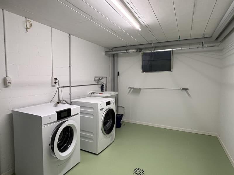 Maison unifamiliale de 5,5 pièces rénovée à neuf, située dans un endroit ensoleillé (14)