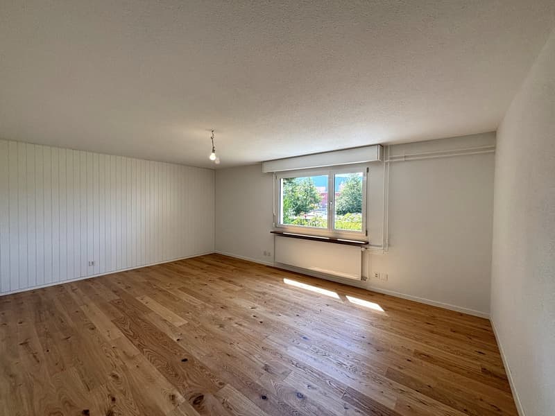 Maison unifamiliale de 5,5 pièces rénovée à neuf, située dans un endroit ensoleillé (12)