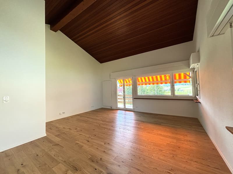 Maison unifamiliale de 5,5 pièces rénovée à neuf, située dans un endroit ensoleillé (7)