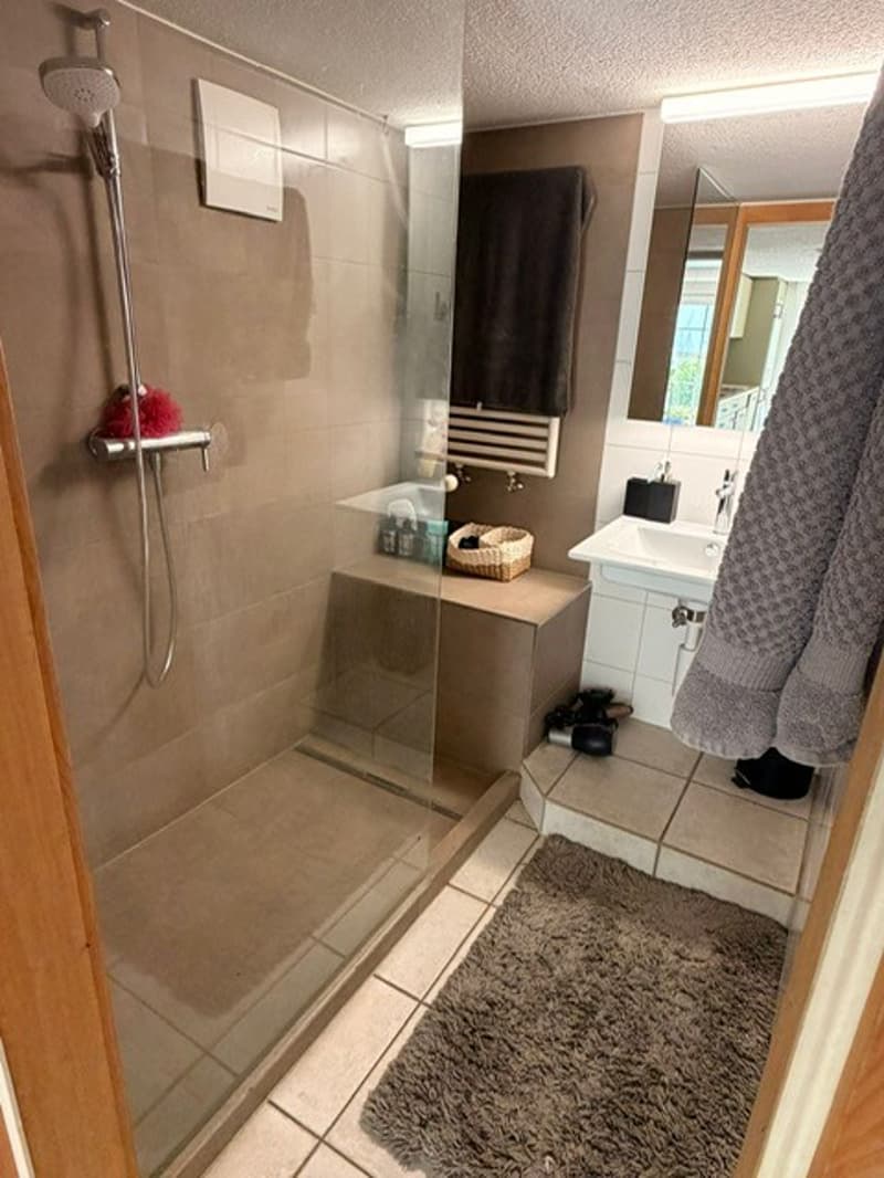 gemütliche 2.5-Zimmerwohnung (5)