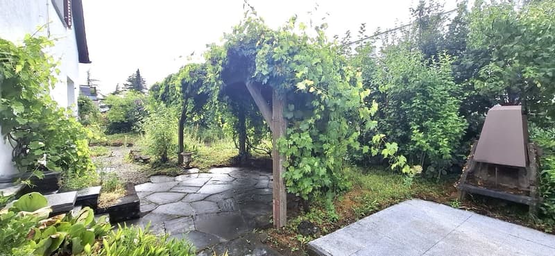 Charmantes 5-Zimmer-Einfamilienhaus in Schlieren – ab sofort zu vermieten (4)