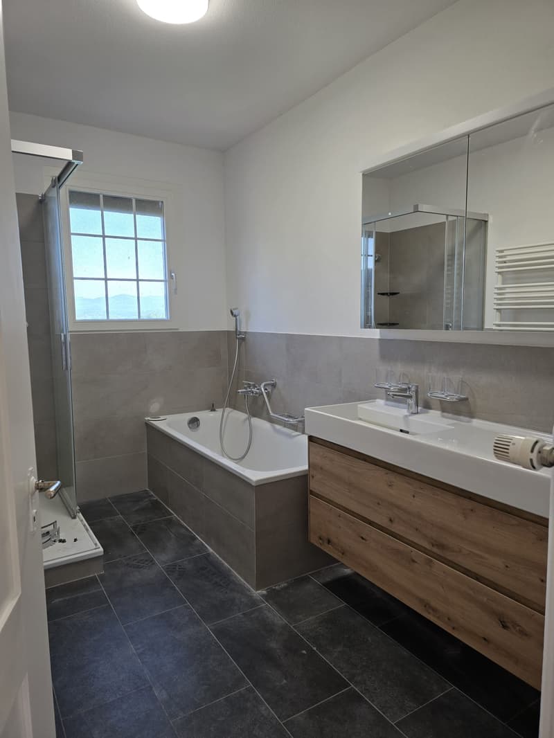 6.5-Zimmer-Einfamilienhaus mit Terrasse und Seesicht (16)