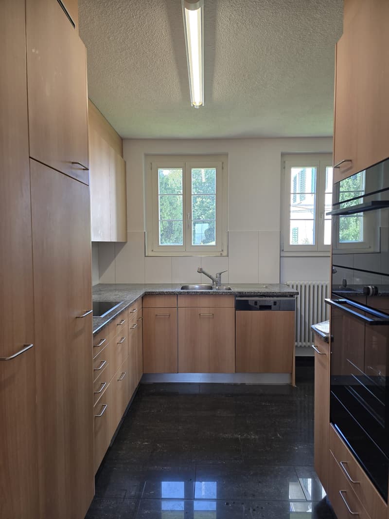 6.5-Zimmer-Einfamilienhaus mit Terrasse und Seesicht (8)