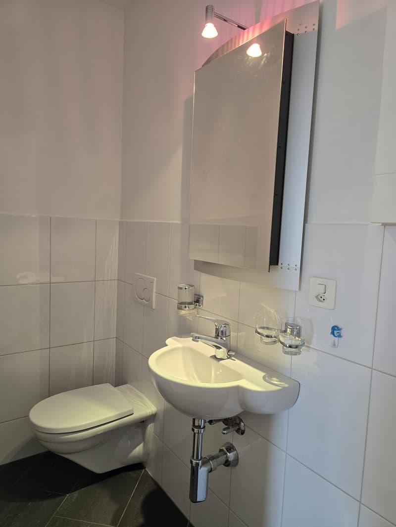 6.5-Zimmer-Einfamilienhaus mit Terrasse und Seesicht (21)