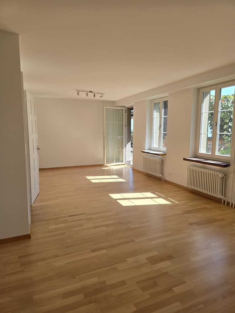 6.5-Zimmer-Einfamilienhaus mit Terrasse und Seesicht (4)