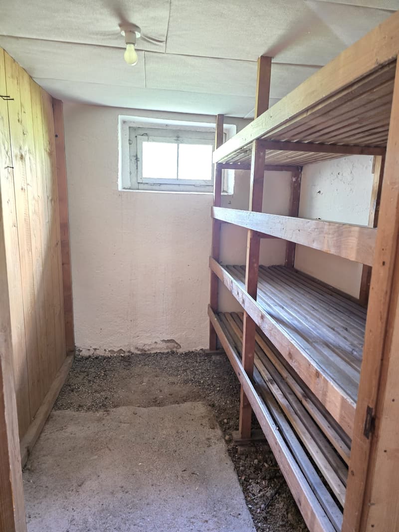 6.5-Zimmer-Einfamilienhaus mit Terrasse und Seesicht (25)