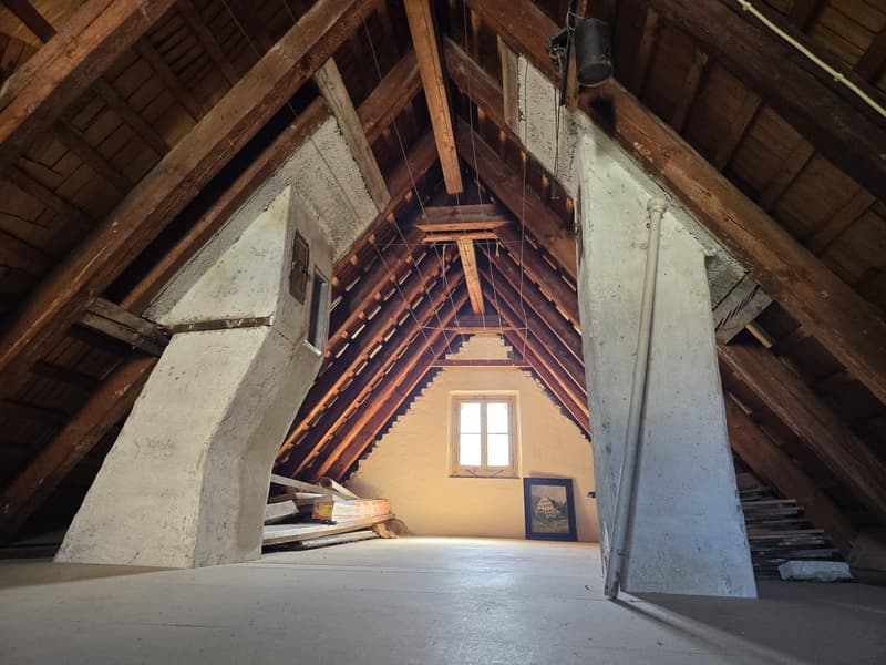 6.5-Zimmer-Einfamilienhaus mit Terrasse und Seesicht (22)