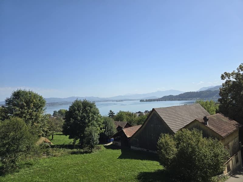 6.5-Zimmer-Einfamilienhaus mit Terrasse und Seesicht (2)