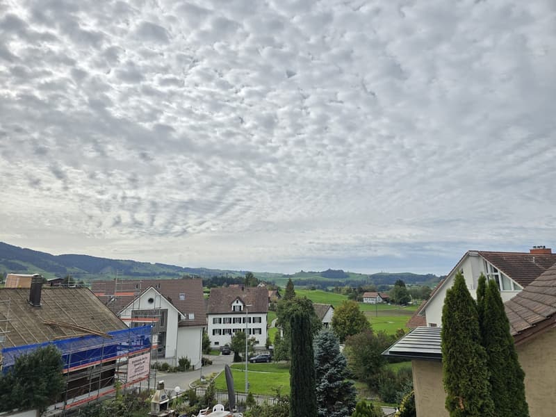 Modernes Wohnen in ruhiger und naturnaher Lage (4)